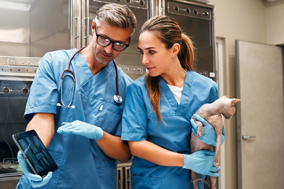 Vet students