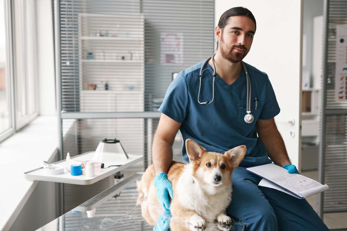 Vet student with a cat